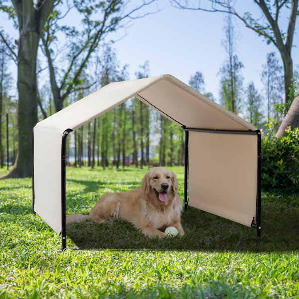 Pet Tents