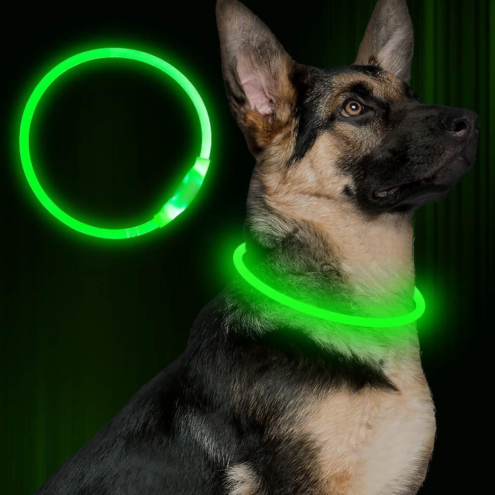Pet Collar – USB Rechargeable Glow Necklace