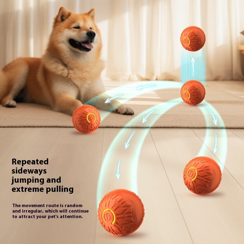 Electric Jumping Dog Toy – Ball Trainer
