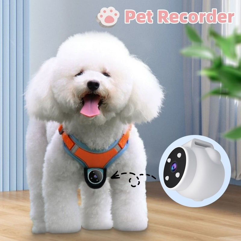 Pet Collar – Recorder & Motion Camera