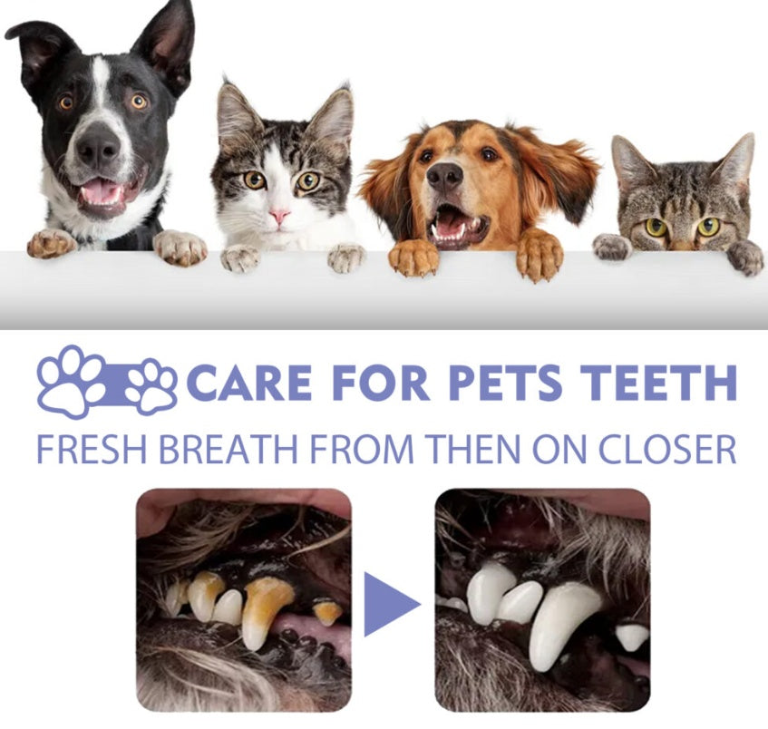 Dental Cleaning Spray For Cats And Dogs, Stain Removal, Fresh Breath Pet Oral Care Spray