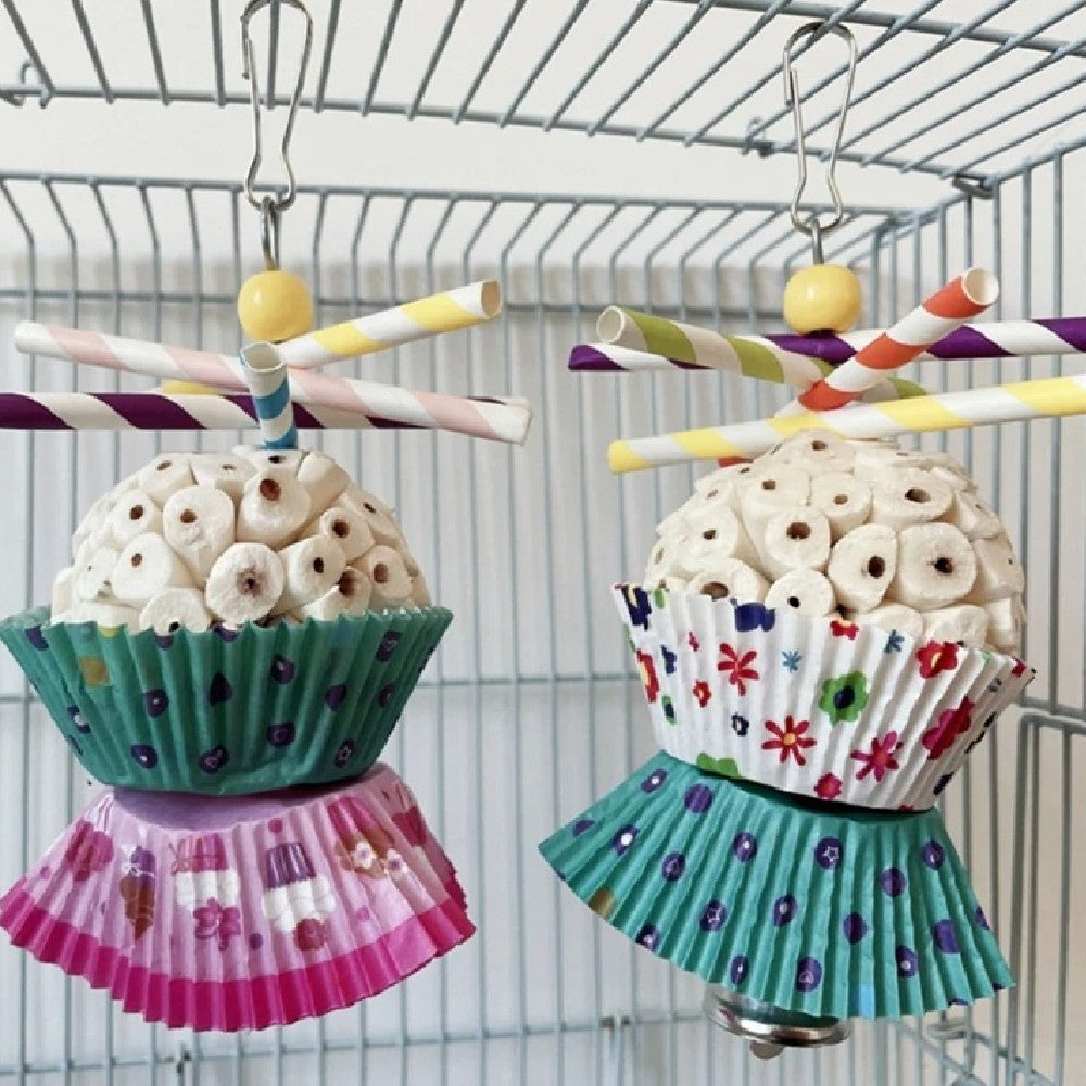 Parrot Edible Chewing Ball Toy