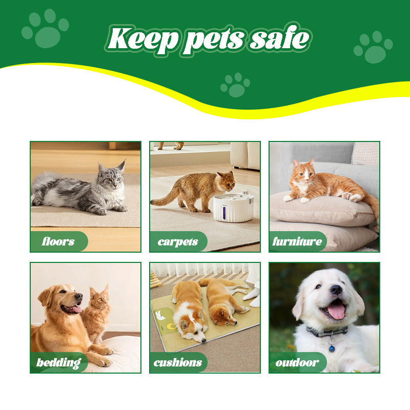 Dog Cat In Vitro Pet Skin Itching Spray