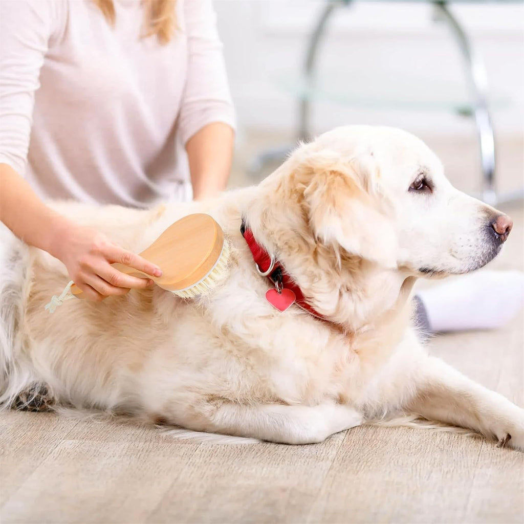 Pet Shampoo Brush With Massage Points Wooden Handle, And Natural Bristles For Dog And Cat Grooming
