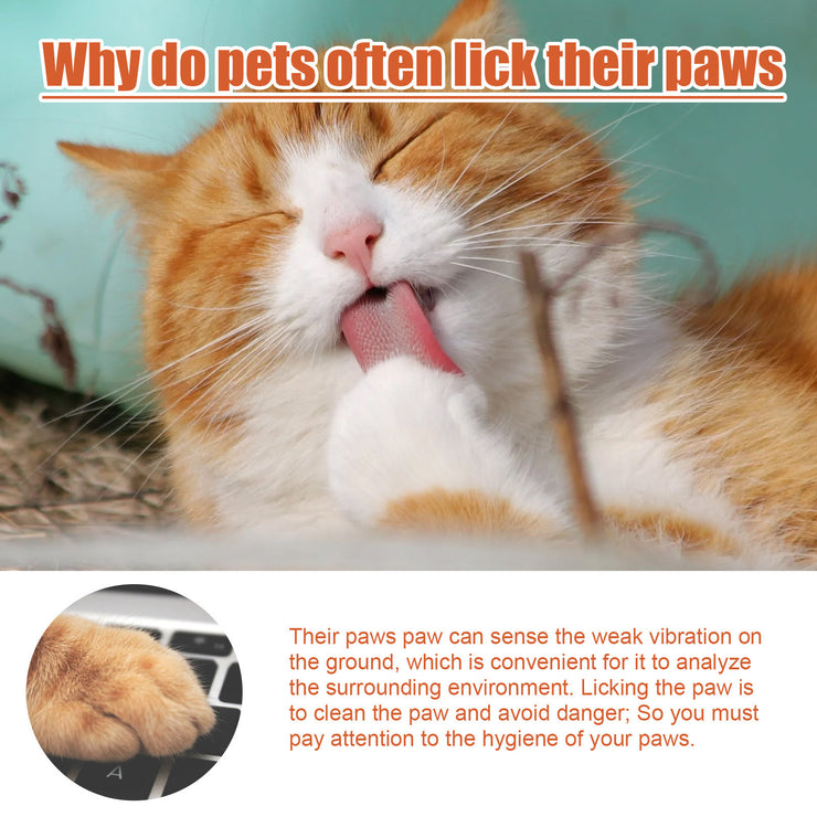 Pet Foot Balm – Paws Care & Protection