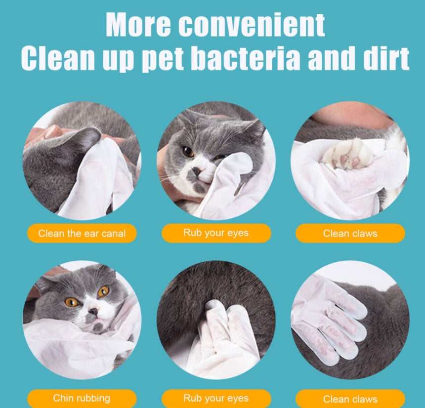 Pet Wipes, Cleaning Wipes, Feline Leave-In Non-Woven Gloves Leave-In - Set Of 6
